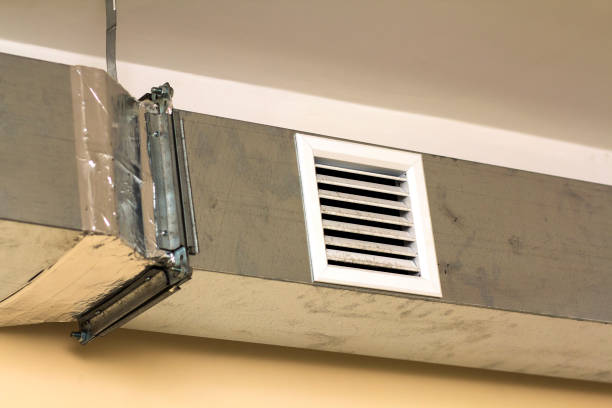 Best Professional Duct Cleaning Services  in Wesley Chapel, FL